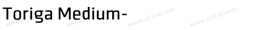 Toriga Medium字体转换